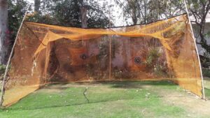 Sarin Inn Boutique Hotel