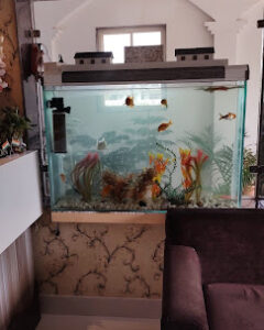 FabExpress Moti Mahal